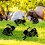 Acrylic Stakes Garden Black Rabbit Silhouette Stake-Style D 4