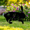 Acrylic Stakes Garden Black Rabbit Silhouette Stake-Style D 7