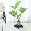 2Pcs Plant Stand Wooden Plant Roller with Lockable Caster Wheels 4