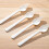 Pointed Bird Feeder Spoons Parrots Feeding Scoops--5 5