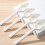 Pointed Bird Feeder Spoons Parrots Feeding Scoops--5 6