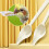 Pointed Bird Feeder Spoons Parrots Feeding Scoops--5 7