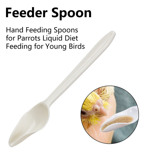 Pointed Bird Feeder Spoons Parrots Feeding Scoops--5 2