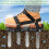 Lawn Aerator Shoes with Adjustable Spring Platform for Garden Grass Ref: 8692 5