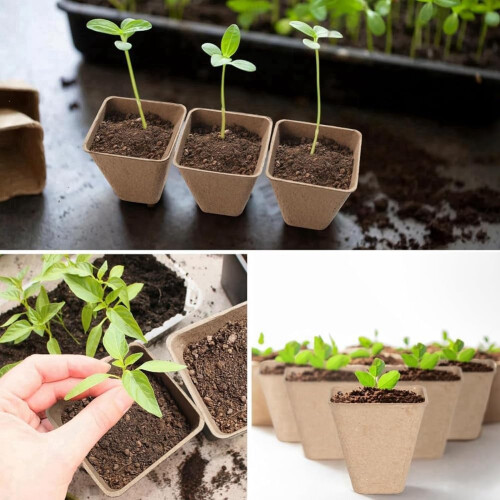 120pack square peat pots for seedlings, seedling pots with drainage holes, biodegradable seed pot sets Ref: 7872 2