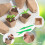120pack square peat pots for seedlings, seedling pots with drainage holes, biodegradable seed pot sets Ref: 7872 5
