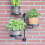 Window plant shelves  3tier metal bracket, Spacesaving decorative display shelf 2