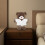 Animal Conjunto Accesorios Juguetes 5