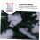 Artificial Snowflake Holiday Artificial Snow Christmas Decoration Cotton Ref: 4225 5