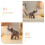 3Pcs Simulation Animal Toy Prehistoric Plastic Model 9