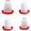 Poultry, Chickens, Hens, Quails, Dwarf Chickens Ref: 3547 3
