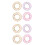 8 Pcs Mandala Flower Baskets Toy 36 Types Iron Ring Ornaments 11