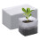 Nursery Accessories Tool Grow Bags Biodegradables-10x12cm 3