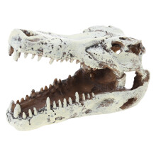 Aquariums Garnalen Kweek Kunstmatige Alligators Schedel voor