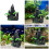 Aquaria Decoratie Hars Rotstuin Model Standbeeld Fishtanks 2