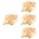 4 Stuks Schelp Decoratief Kustdecor Speelgoed 8