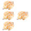 4 Stuks Schelp Decoratief Kustdecor Speelgoed 9