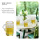 20 Unidades Mini De Para Casas De Bonecas Decorativas 9