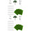 2 Conjuntos De Decorações Para Casa De Bonecas Com E Paisagem 5