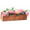 2 Unidades Miniatura De Flores Micro Vaso Decoração 3