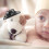10 Unidades Mini Chapéu Ocidental Caubói Brinquedo 8
