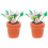 2 Unidades Bonsai Rosa Para Casa Bonecas, Artificial 4