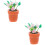 2 Unidades Bonsai Rosa Para Casa Bonecas, Artificial 8