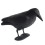 3D Simulated Crow Archery Targets for Outdoor Indoor Practice 1