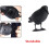 3D Simulated Crow Archery Targets for Outdoor Indoor Practice 5