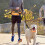 Hunde-Freihandleine mit Reißverschlusstasche, 8