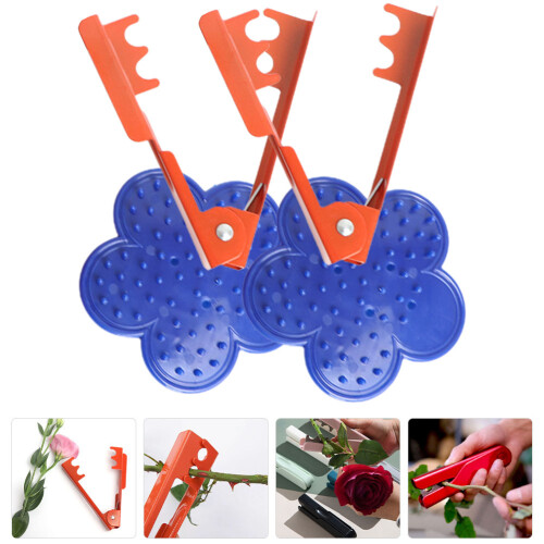 4Pcs Ferramenta Remoção Espinhos E Folhas Para 2