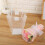 Pièce Bouquet De En Fleurs Œillets Cadeau 8