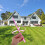2Pcs 40Pcs Bamboo Dragonfly Rotating Toy 5