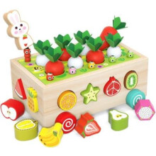 Children's Puzzle with Fruits Fruity