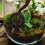 micro draaiend waterrad opstelling, watergebaseerd, decoratief 8