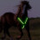 Horse Webbing Collar Chest Guard Night Visibility with LED Light Chest Strap Ref: 6378 4