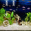4 Pièces Algues Ventouse Pince Pour Aquarium 7