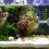 4 Pièces Algues Ventouse Pince Pour Aquarium 10