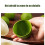 Multifunctionele Wrapper Maker Dumpling Maker Dumpling Wrapper 7