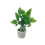 2 Unidades Miniatura Casa 1/12 Plantas Vasos Plástico 1