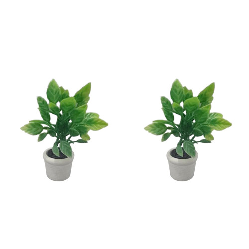 2 Unidades Miniatura Casa 1/12 Plantas Vasos Plástico 1