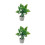 2 Unidades Miniatura Casa 1/12 Plantas Vasos Plástico 5