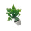 2 Unidades Miniatura Casa 1/12 Plantas Vasos Plástico 11
