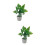 2 Unidades Miniatura Casa 1/12 Plantas Vasos Plástico 7