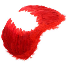 Angel Wing Kids Cosplay Party Prop