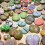 Lithops Specie Mix (Pietra, Piante) 20 Semi Ref: 5261 5