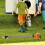 2 Unidades Mini De Grama Para Casa De Bonecas Decorativo 4