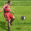 FootballKickThrowSoloTrainingAid for throwing and catching 2