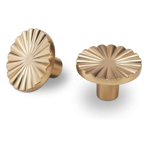 Brushed Cabinet Knobs, 2 Pcs Round Cabinet Knobs, Single Hole Cupboard Door Handles, Small Pull Door with Screws for Drawer, Wardrobe, Decoration