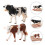 1 Conjunto 2 Peças Simulação Pasto Vaca 7